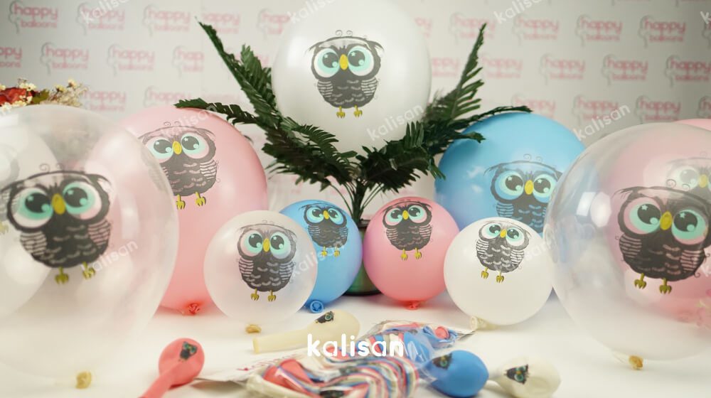 Eule Latexballon Mix- 10 St. - 12"/30cm
