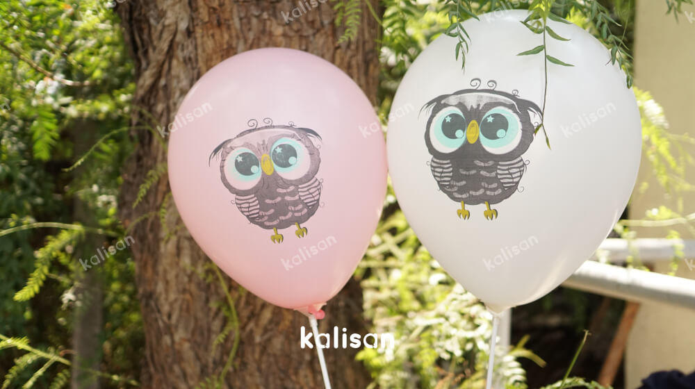 Eule Latexballon Mix- 10 St. - 12"/30cm